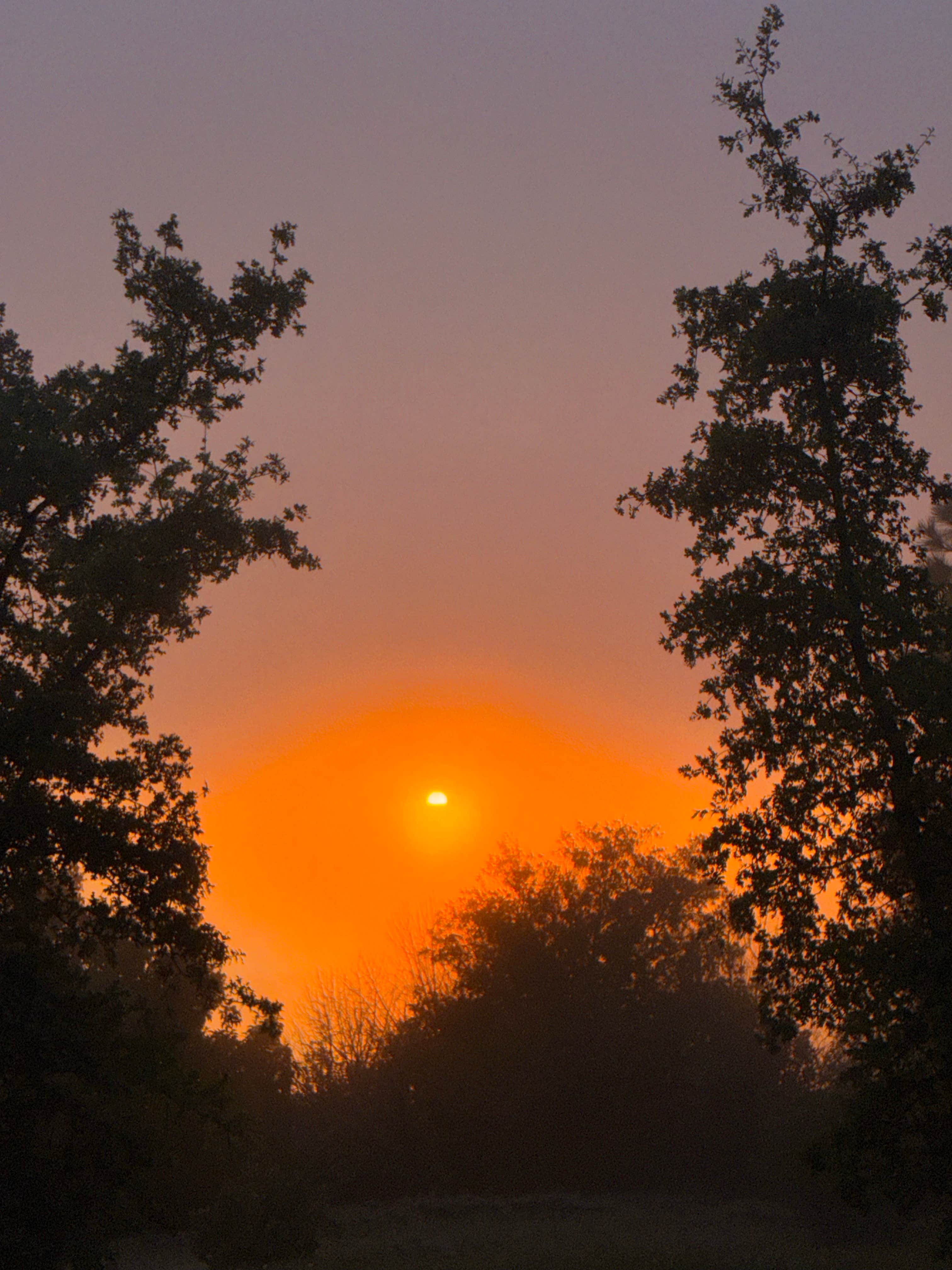 Camping near Kirk Creek Campground: Prewitt Ridge Campground, Lucia, California