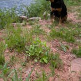 Review photo of Priest Gulch Campground and RV Park Cabins and Lodge by Ryan M., July 9, 2025