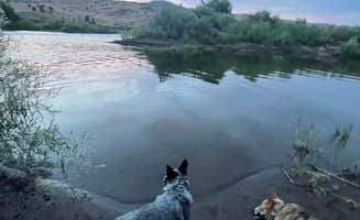 Stephanie F.'s photo of camping with pets at BLM John Day River - Priest Hole near Central Oregon