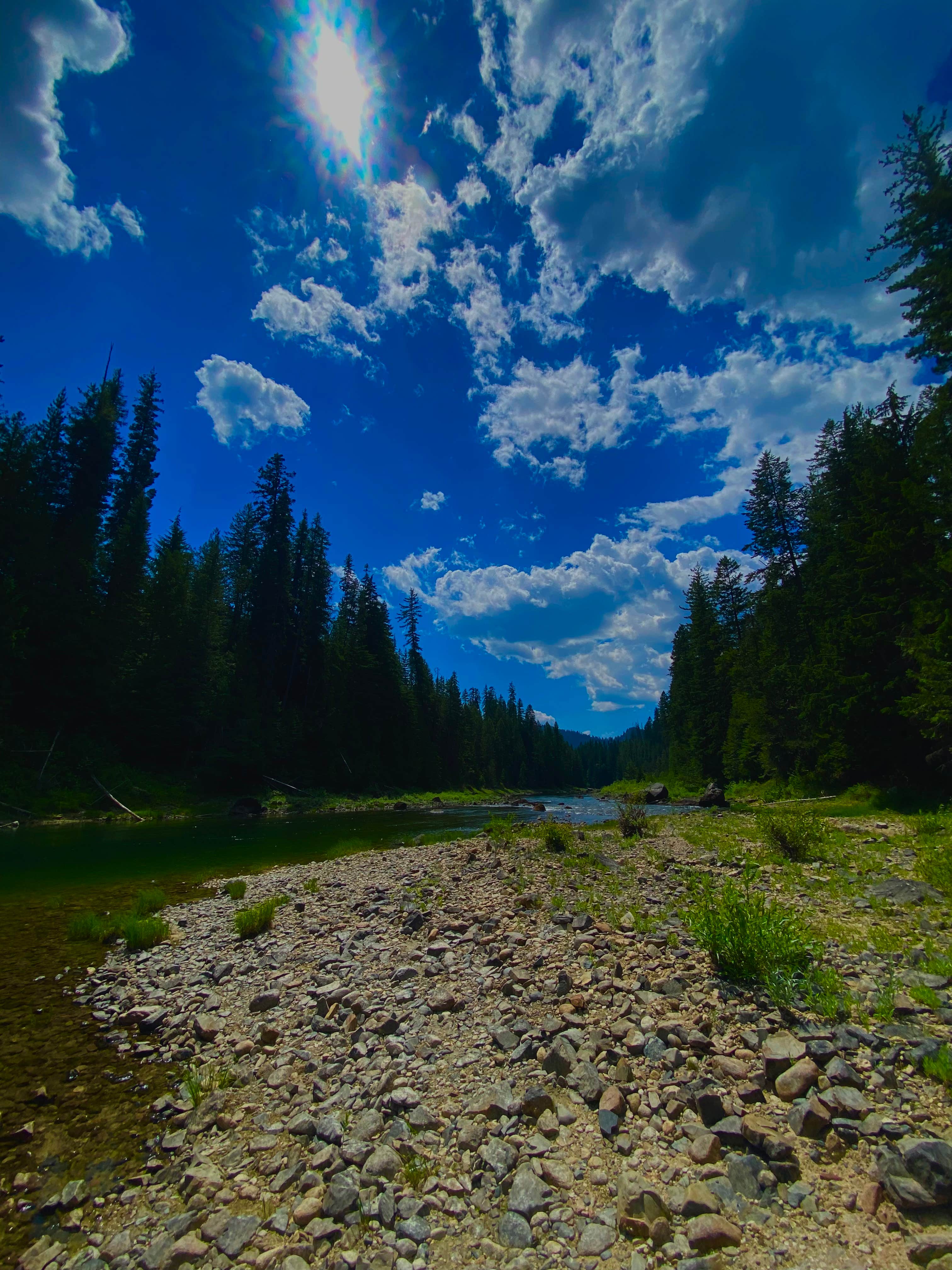 Dee 🥰.'s photo of a dispersed camping area at priest lake dispersed camping near Kootenai, ID