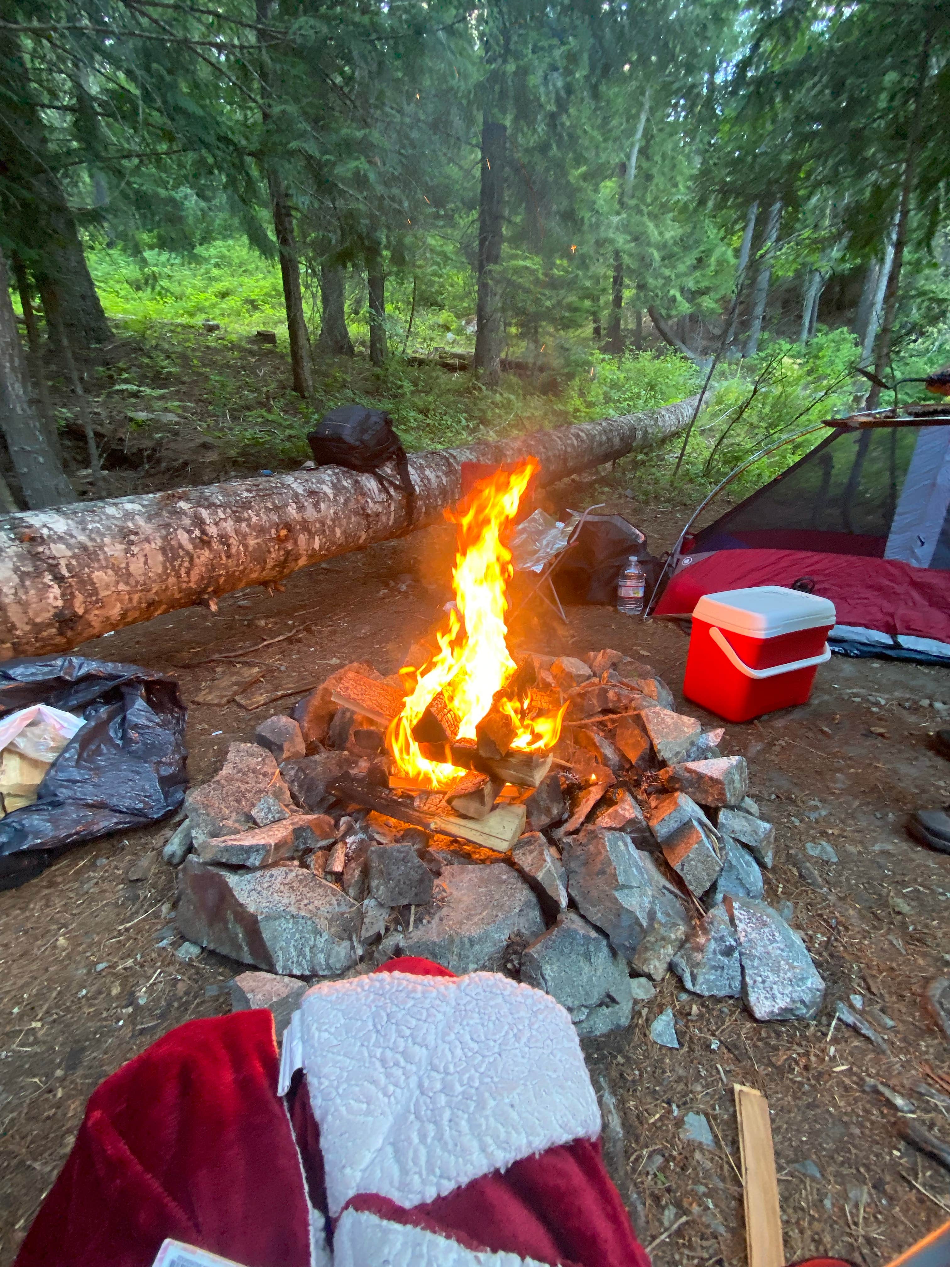 Dee 🥰.'s photo of tent camping at priest lake dispersed camping near Sandpoint, ID