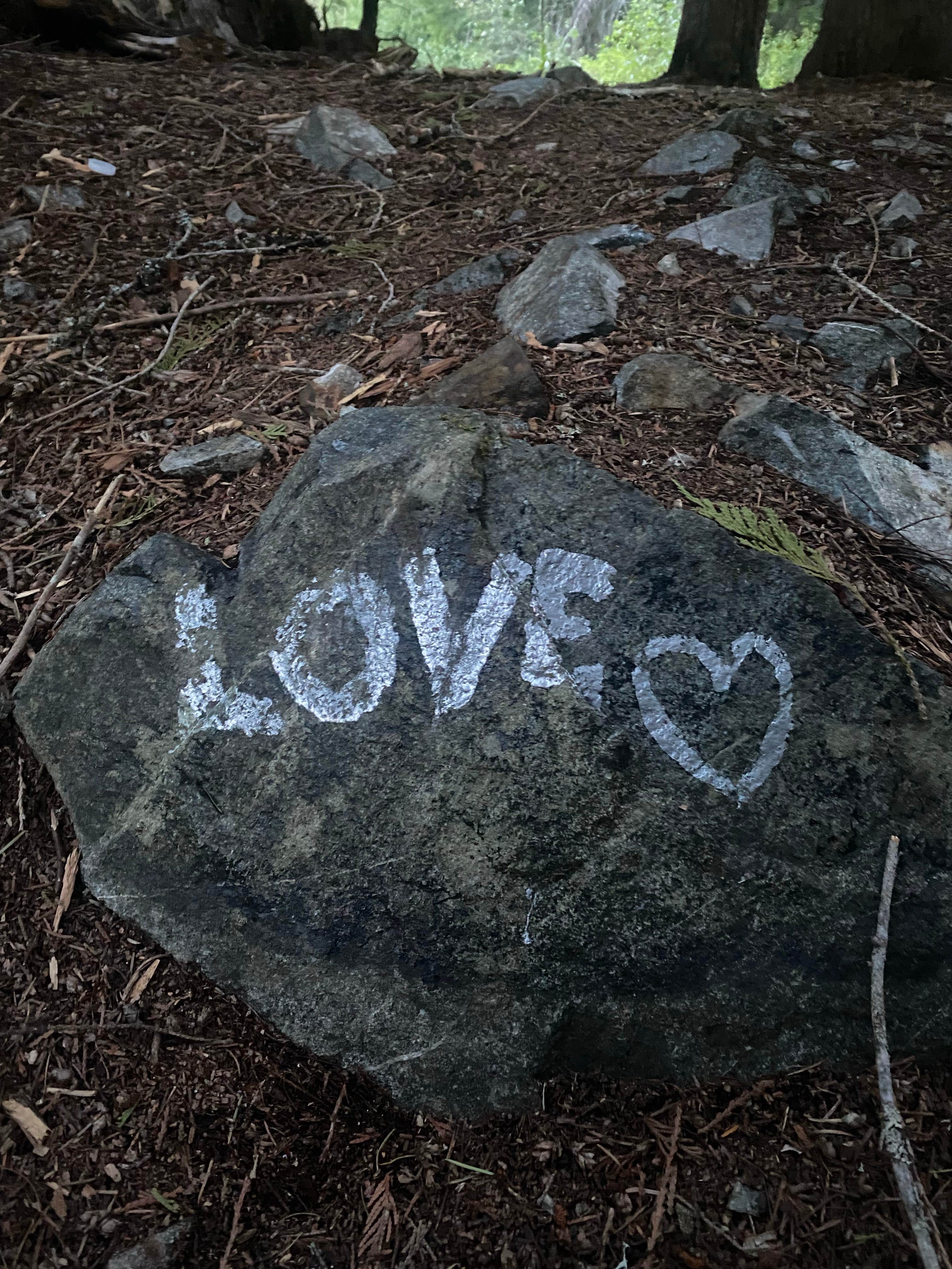 Camper-submitted photo at priest lake dispersed camping near Sandpoint, ID