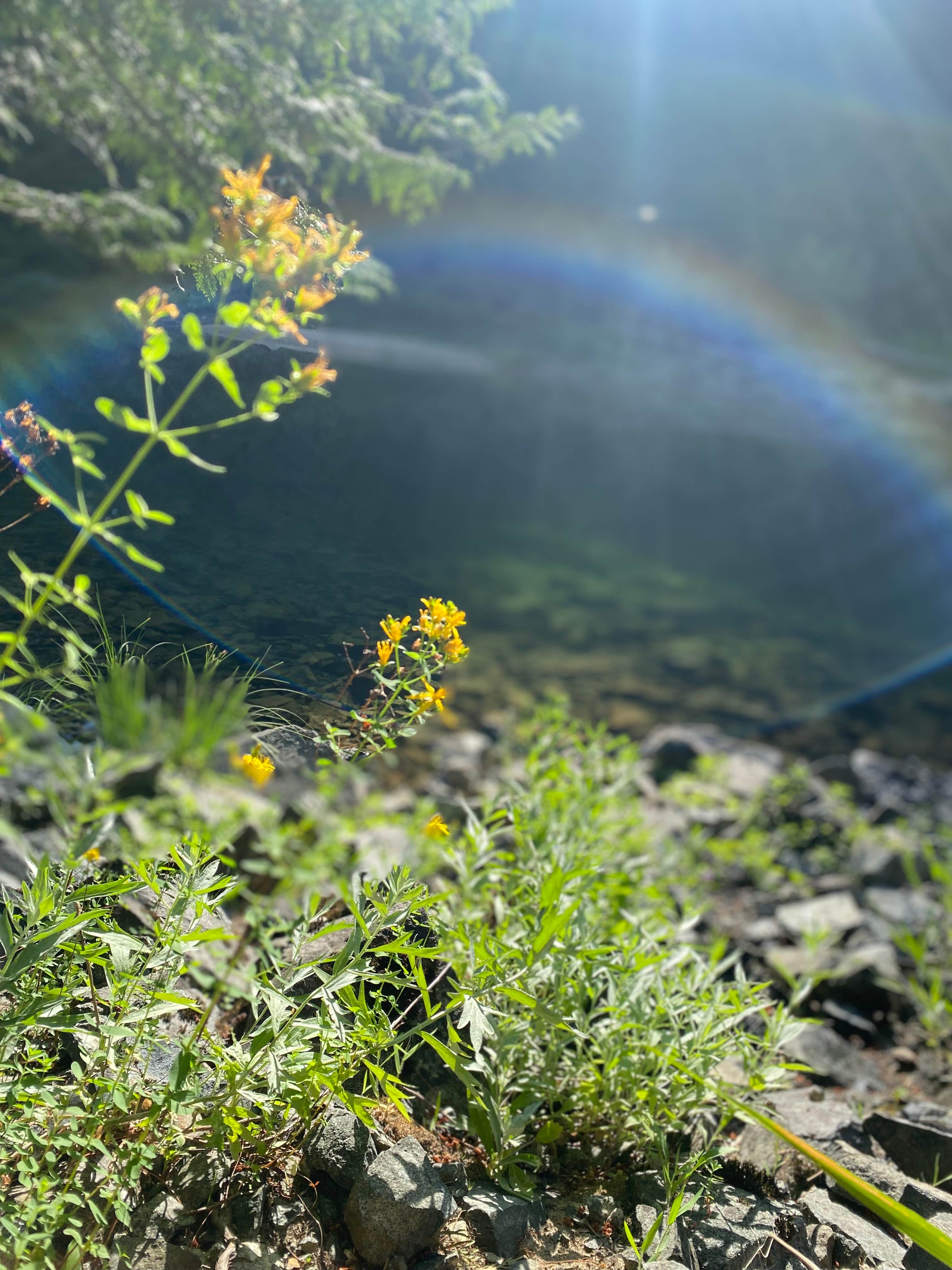 Camper-submitted photo at priest lake dispersed camping near Sandpoint, ID
