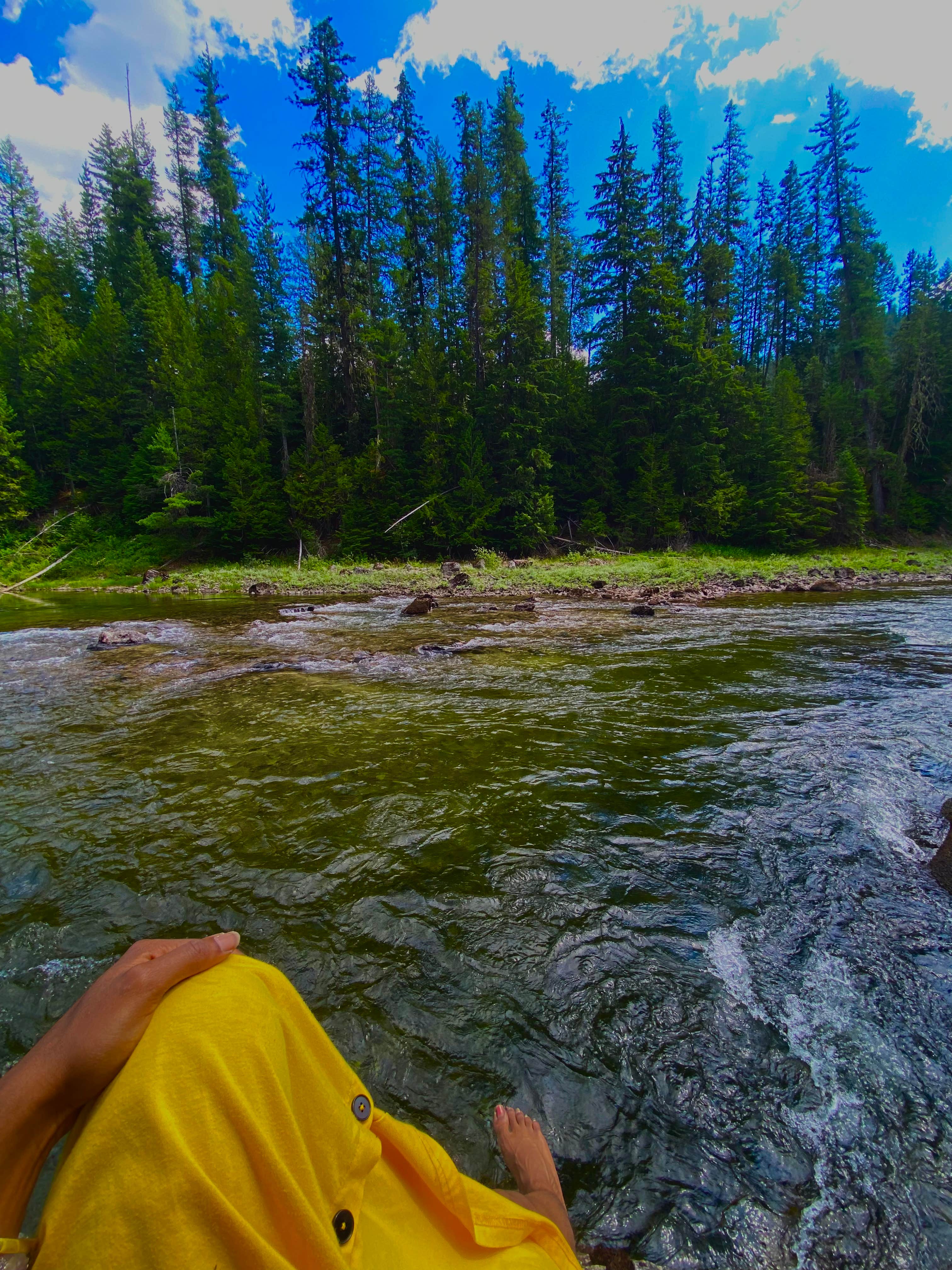 Camper submitted image from priest lake dispersed camping - 3