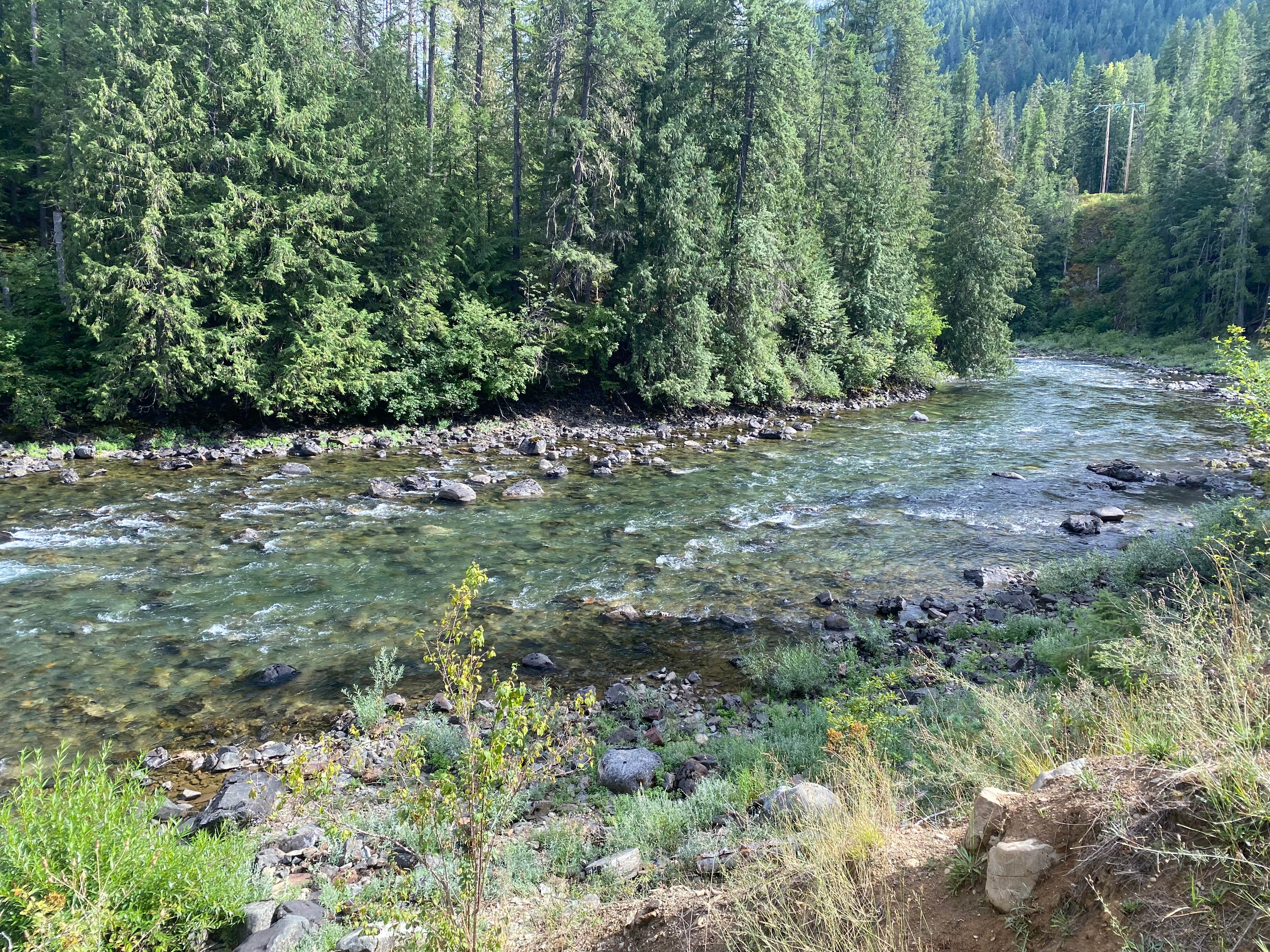 Camper-submitted photo at priest lake dispersed camping near Sandpoint, ID
