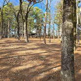 Review photo of Primitive campground for wister state park by Teresa T., January 7, 2026