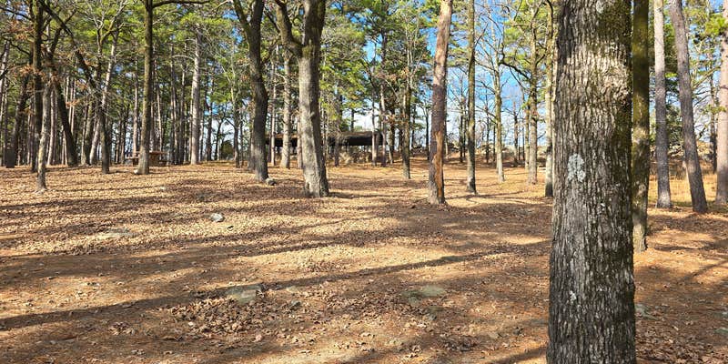Camper submitted image from Primitive campground for wister state park