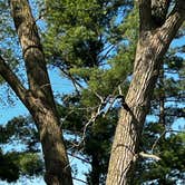 Review photo of Primitive South Campground — Lake Macbride State Park by Steve T., April 27, 2026