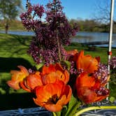Review photo of Primitive South Campground — Lake Macbride State Park by Steve T., April 27, 2026