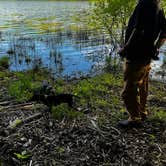 Review photo of Crooked Run Campground — Prince Gallitzin State Park by Steve A., May 20, 2024