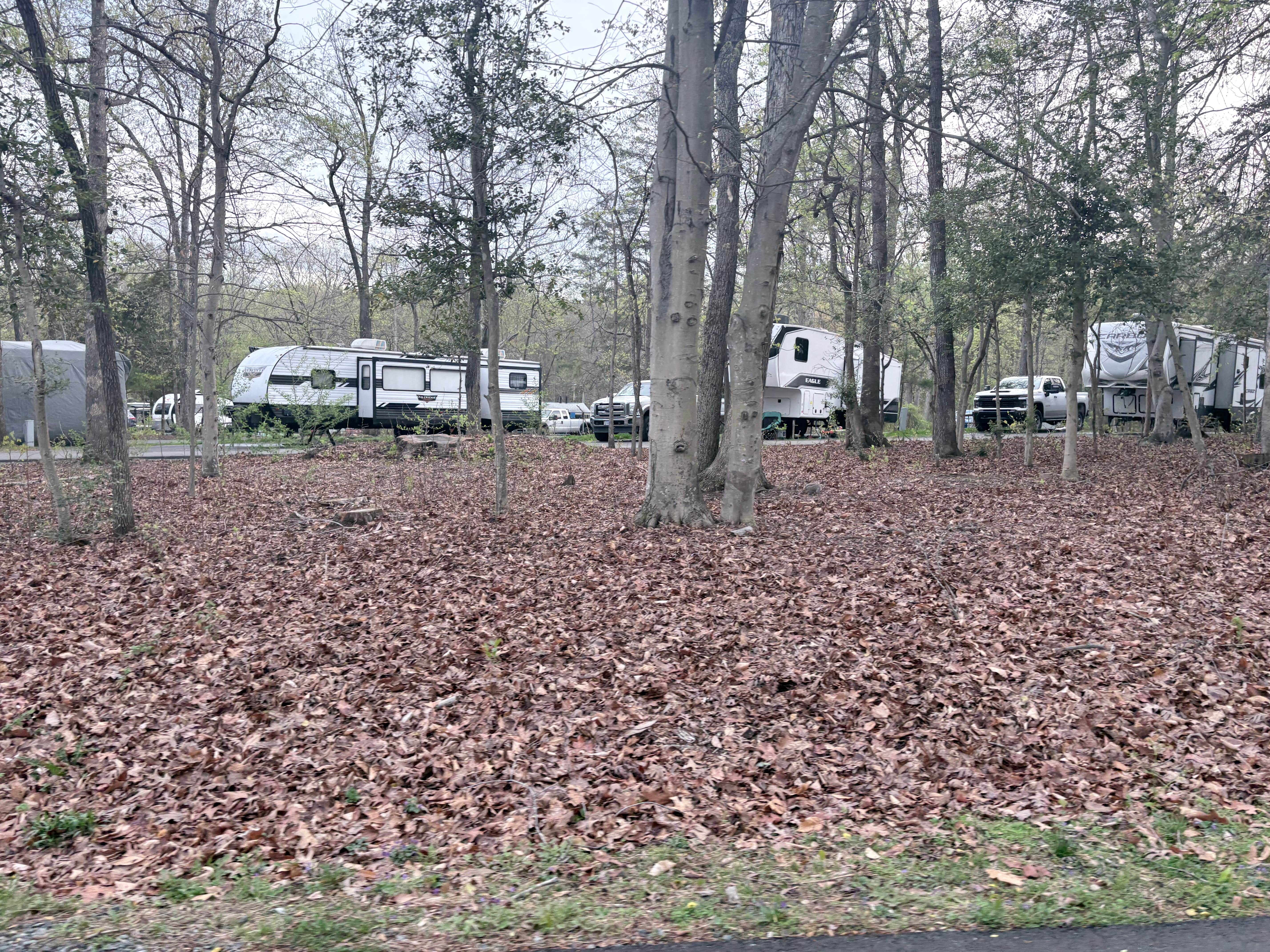 Beth B.'s photo of rv camping at Prince William Forest RV Campground — Prince William Forest Park near Barnesville, MD