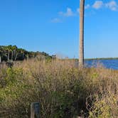 Review photo of Princess Place Preserve - Moody Campground by Greg , November 4, 2025