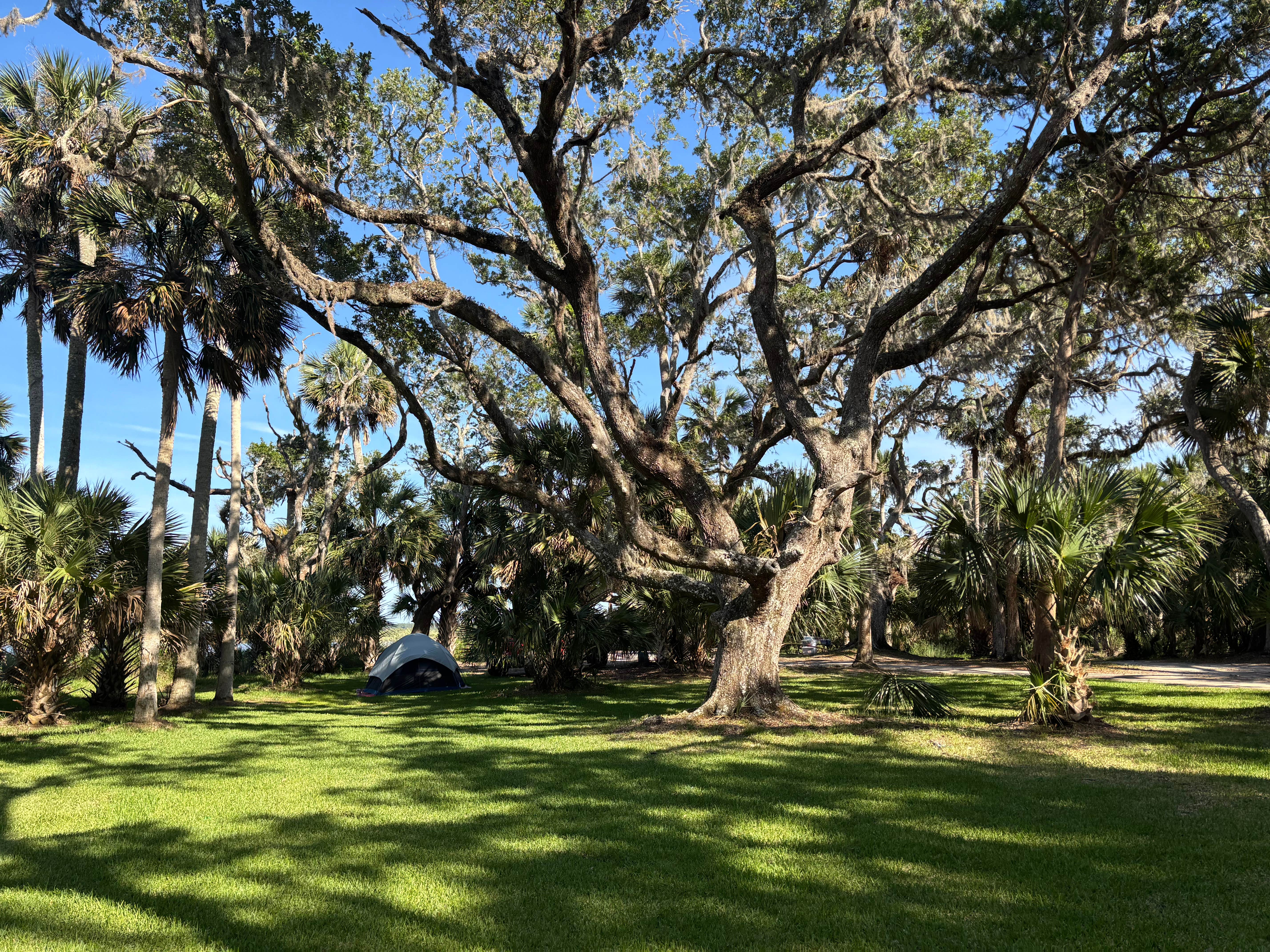Camper submitted image from Princess Place Preserve - Moody Campground - 1