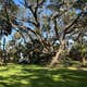 Princess Place Preserve - Moody Campground