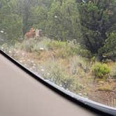 Review photo of Jasper Point Dispersed by kathaleen , July 8, 2025