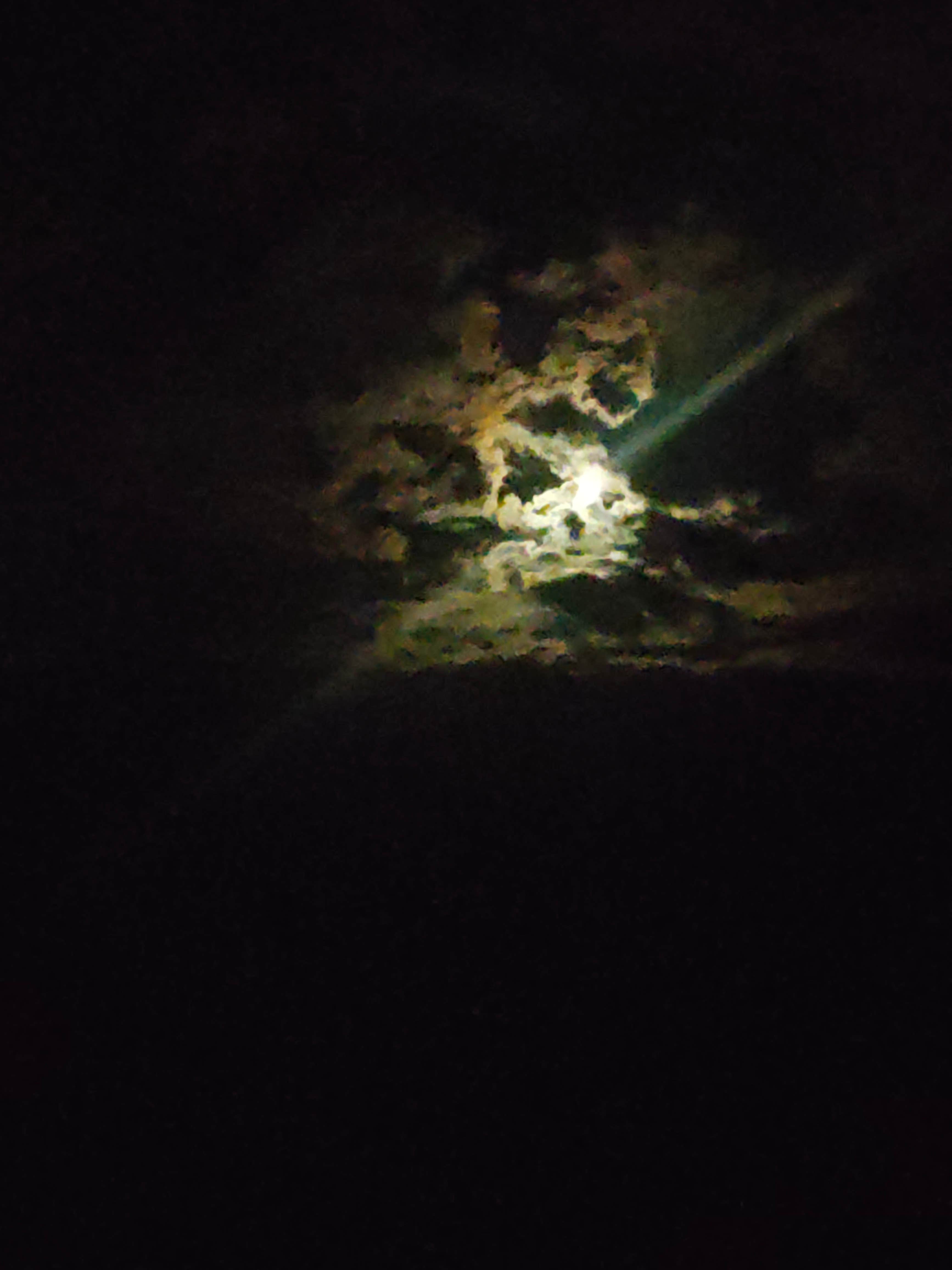 Camper submitted image from Jasper Point Dispersed - 1