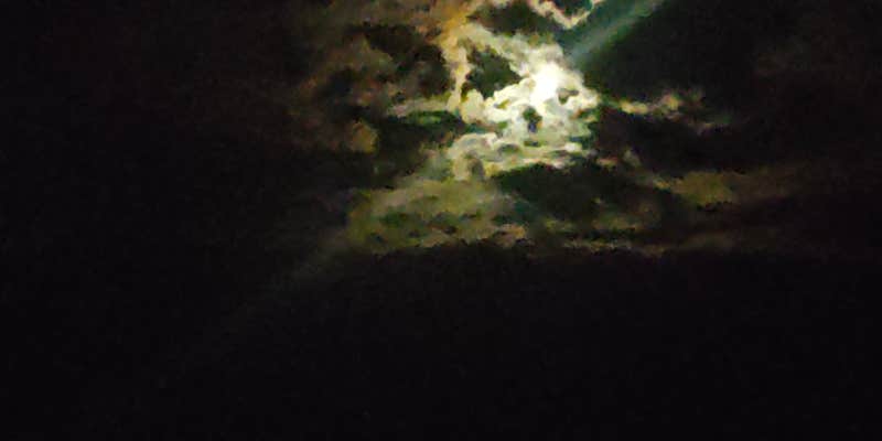 Camper submitted image from Jasper Point Dispersed