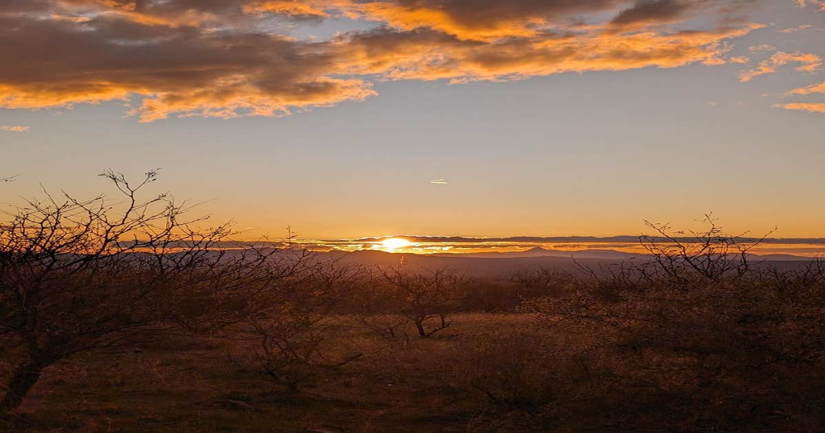Proctor Rd. Dispersed by Madera Canyon Camping | Green Valley, Arizona