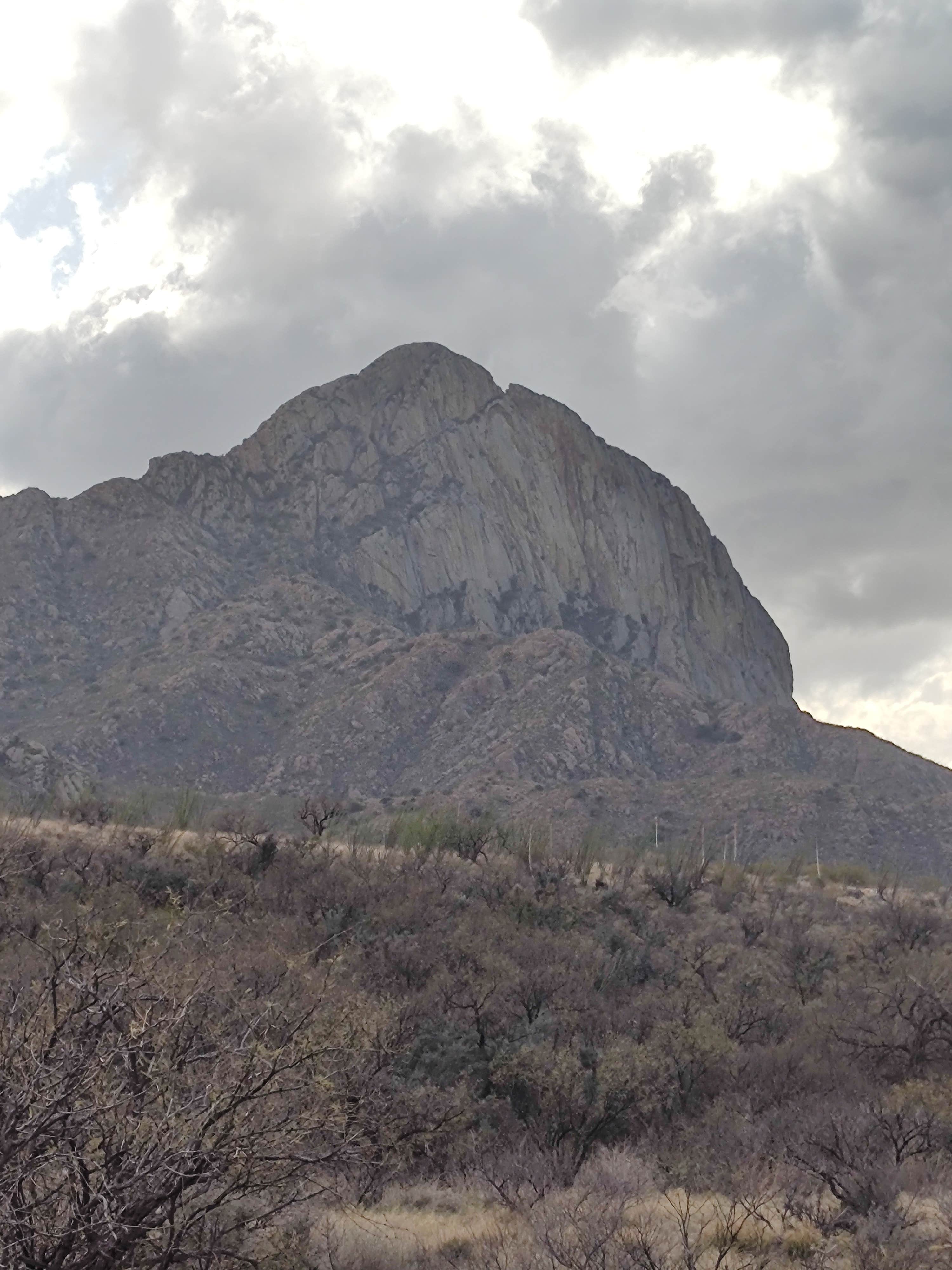 Camper-submitted photo at Proctor Rd. Dispersed by Madera Canyon near Sásabe, AZ