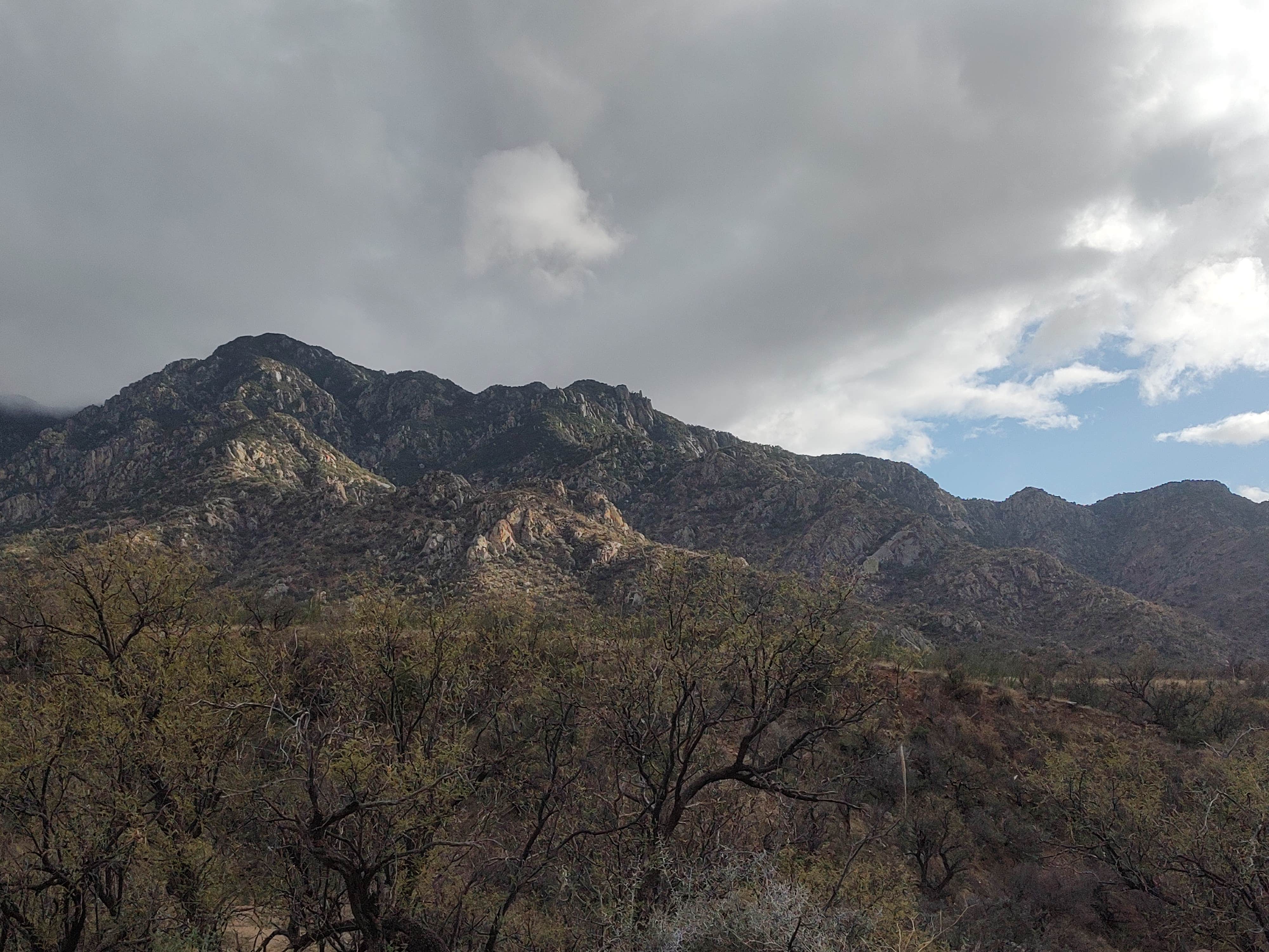 Camper-submitted photo at Proctor Rd. Dispersed by Madera Canyon near Sásabe, AZ