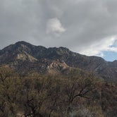 Review photo of Proctor Rd. Dispersed by Madera Canyon by joel G., March 20, 2024