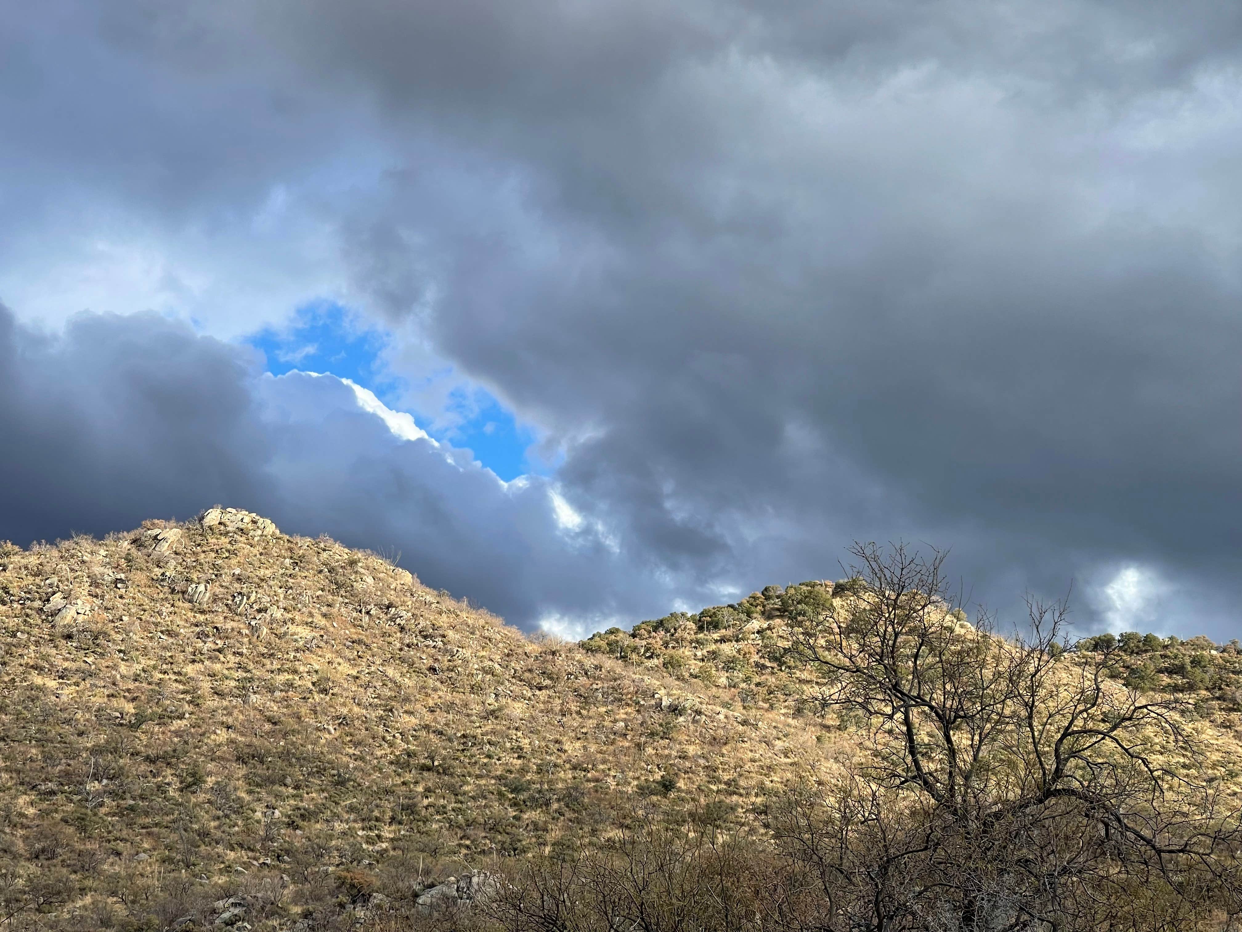 Camper-submitted photo at Proctor Road Dispersed Camping - Site 3b near Green Valley, AZ