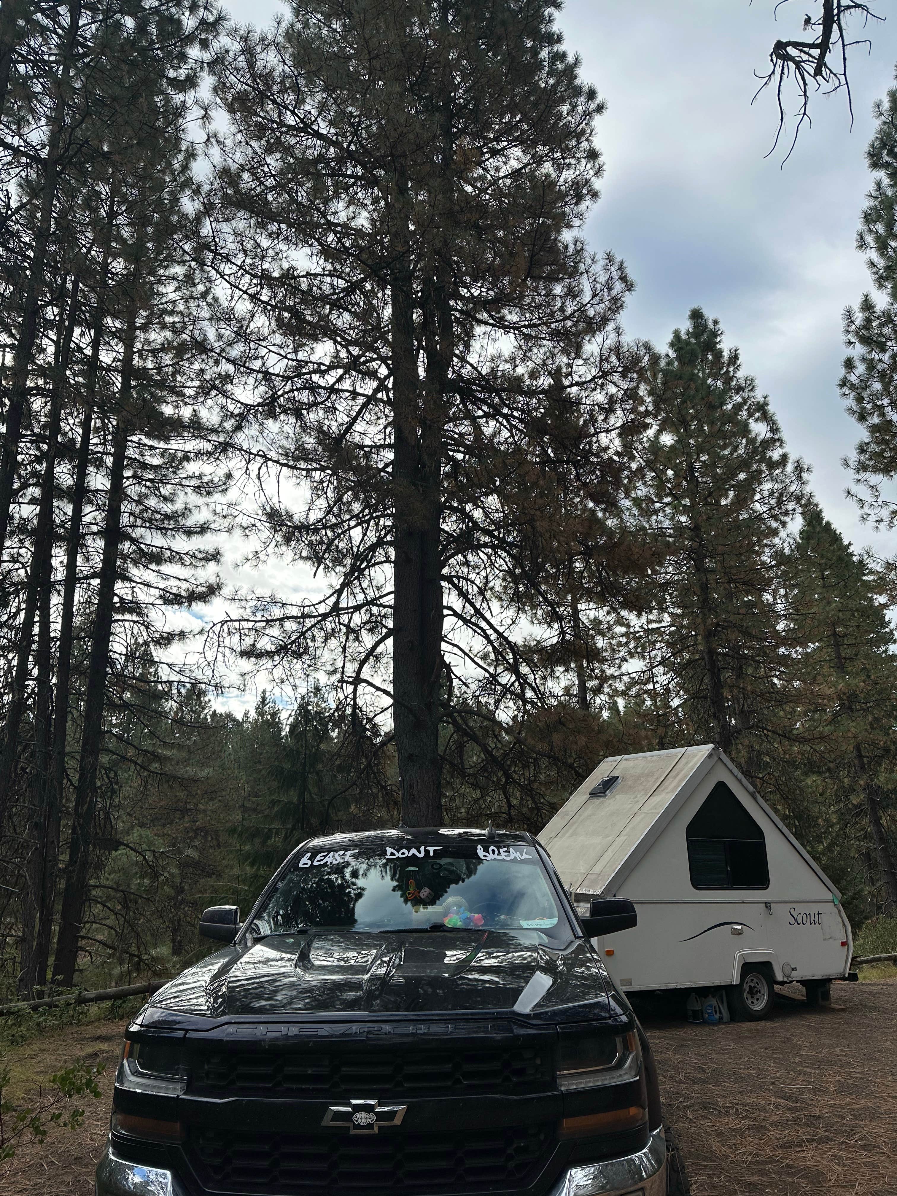 Camper submitted image from Prospect OHV Dispersed Camping - 1