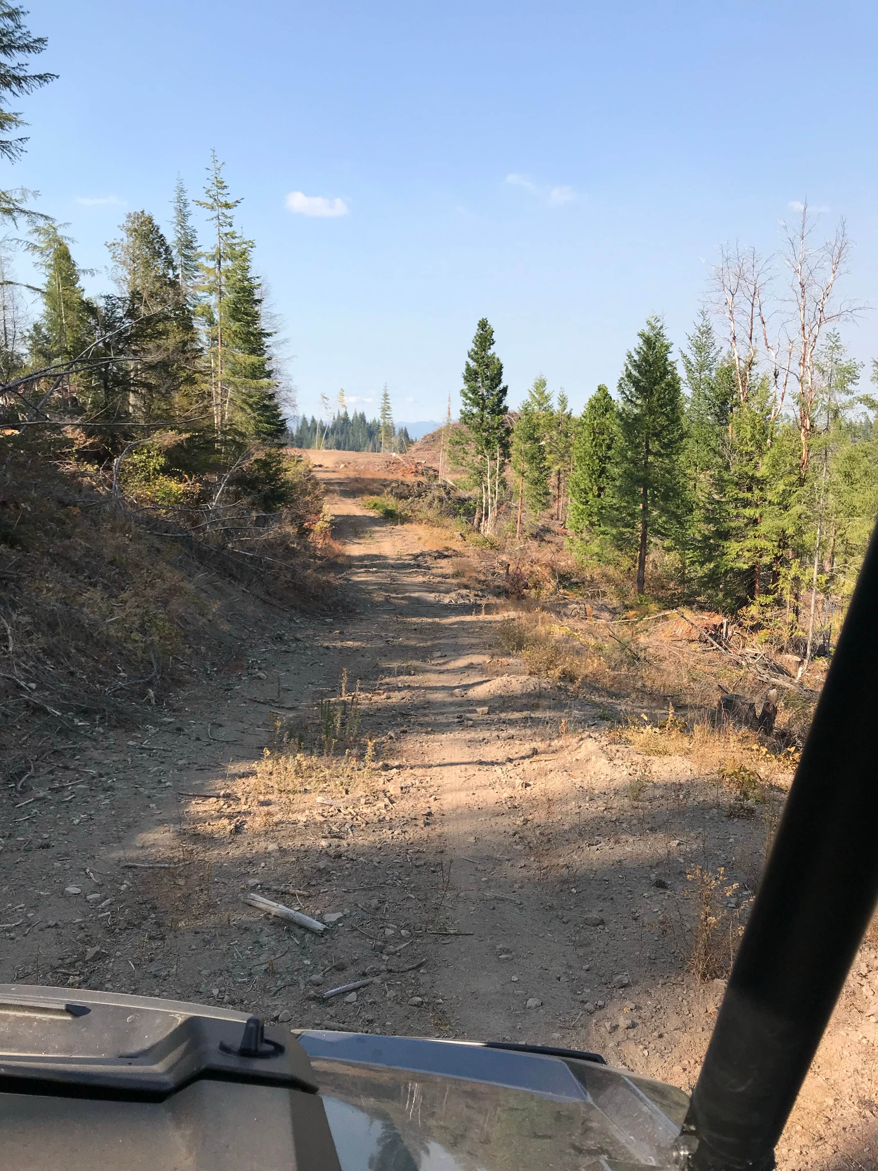 Camper submitted image from Prospect OHV Dispersed Camping - 5