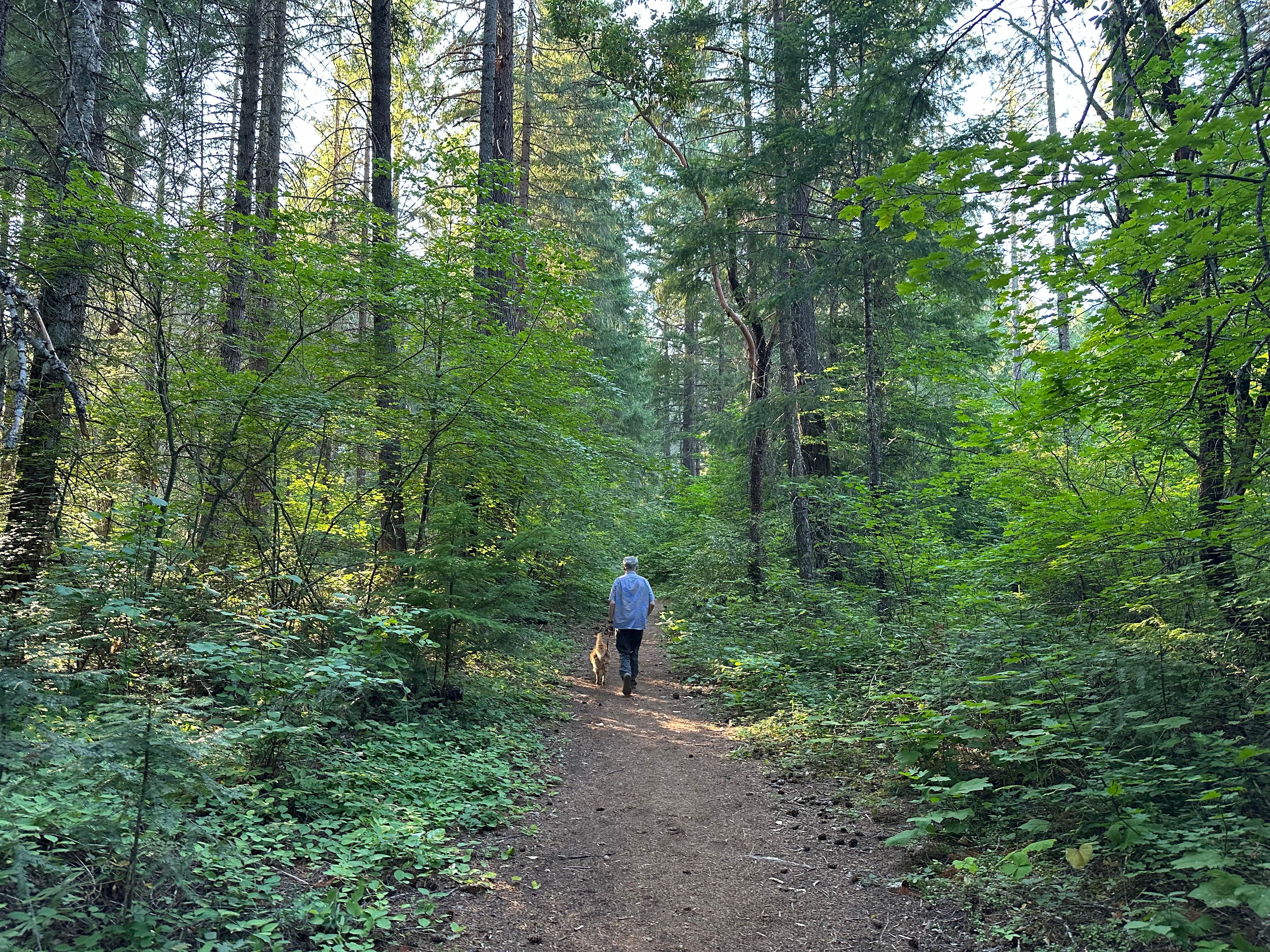 Lai La L.'s photo of camping with pets at Crater Lake RV Park near Prospect, OR
