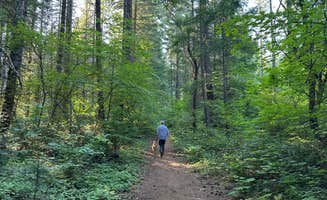 Lai La L.'s photo of camping with pets at Crater Lake RV Park near Prospect, OR