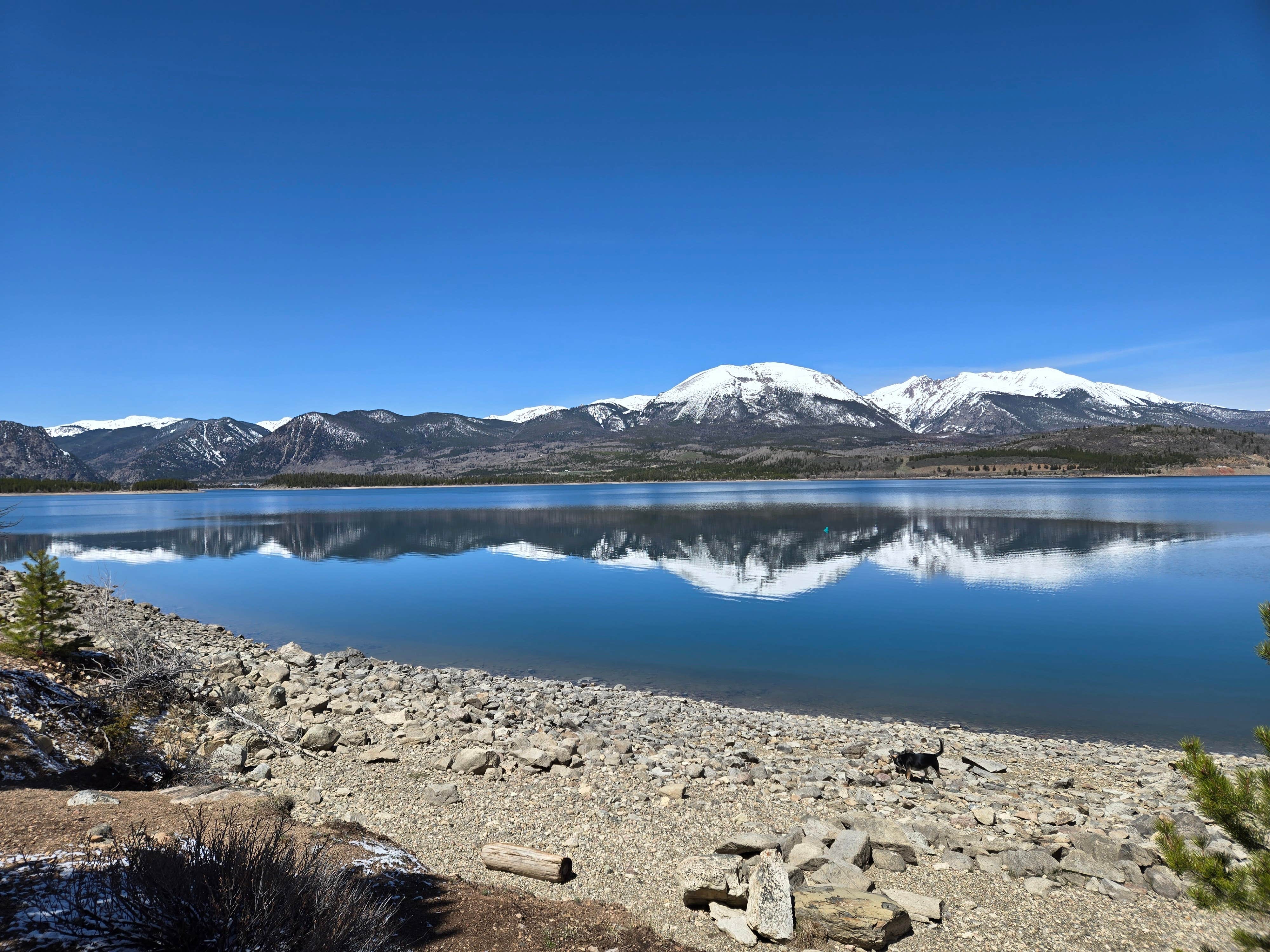 Tarrah C.'s photo of camping with pets at Prospector Campground near Jefferson, CO