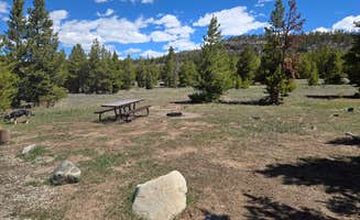 Tarrah C.'s photo of camping with pets at Prospector Campground near Copper Mountain, CO