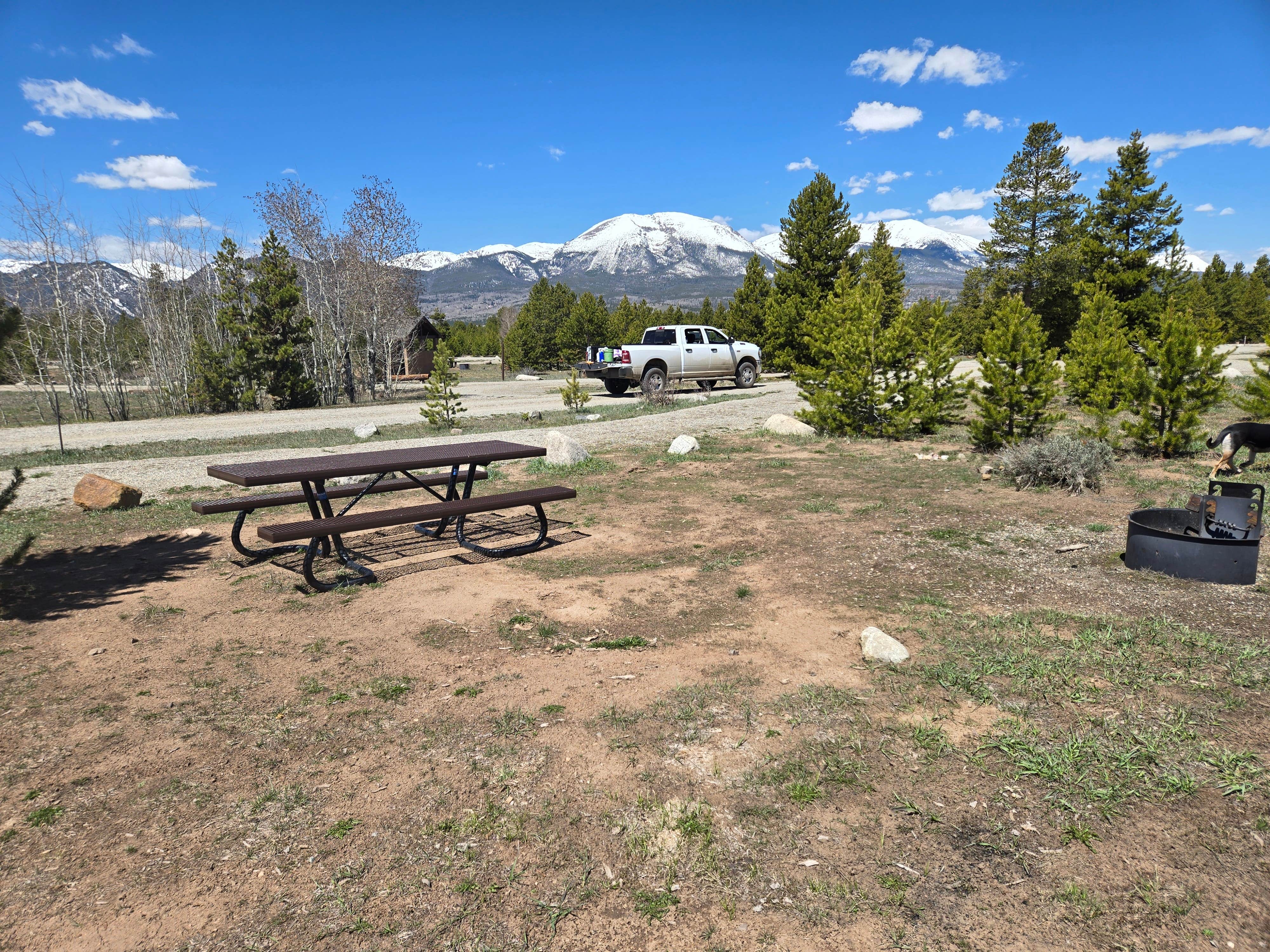Tarrah C.'s photo of camping with pets at Prospector Campground near Silverthorne, CO