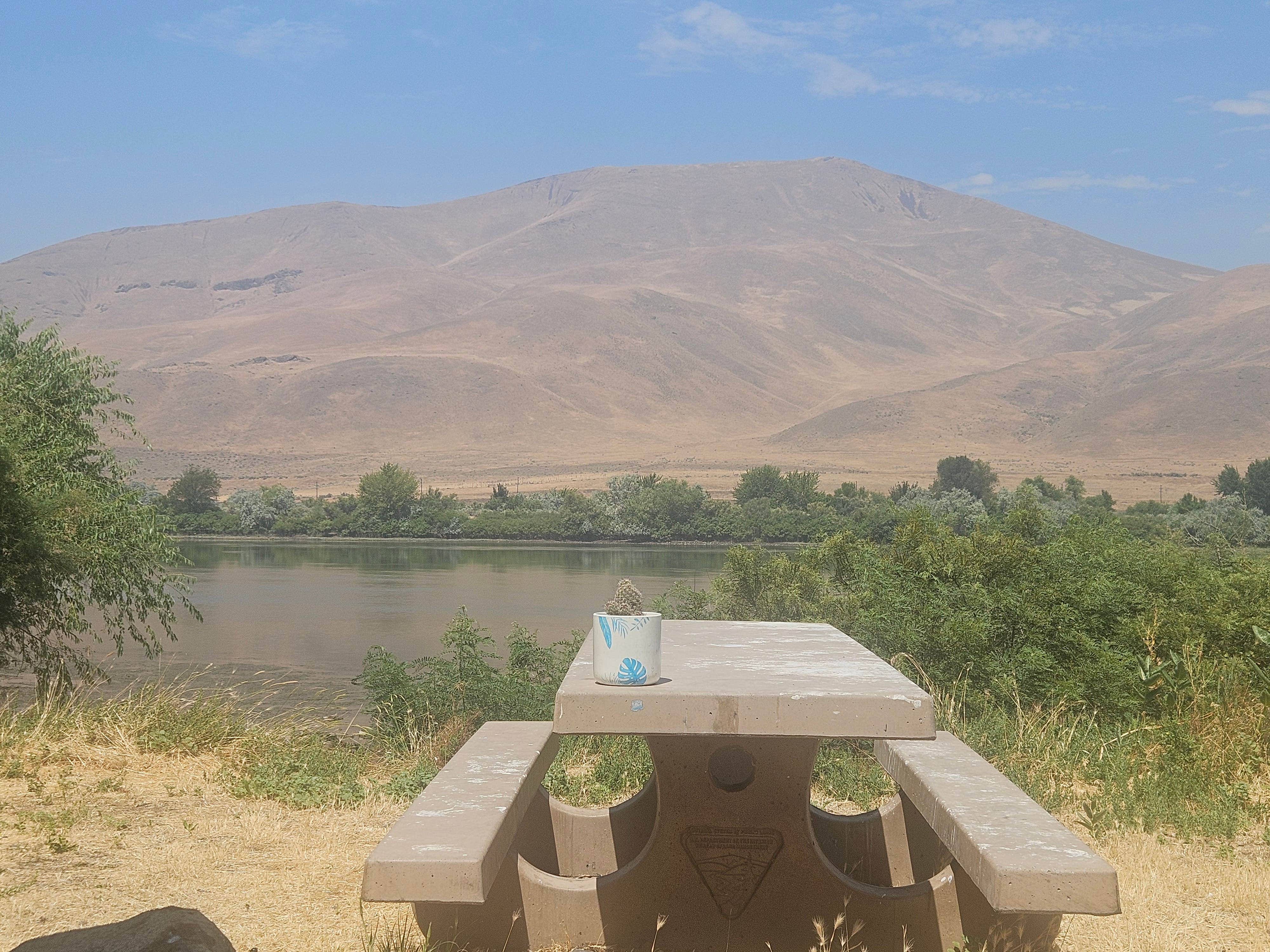 Jeff R.'s photo of a dispersed camping area at Oasis Recreation Site near Homedale, ID