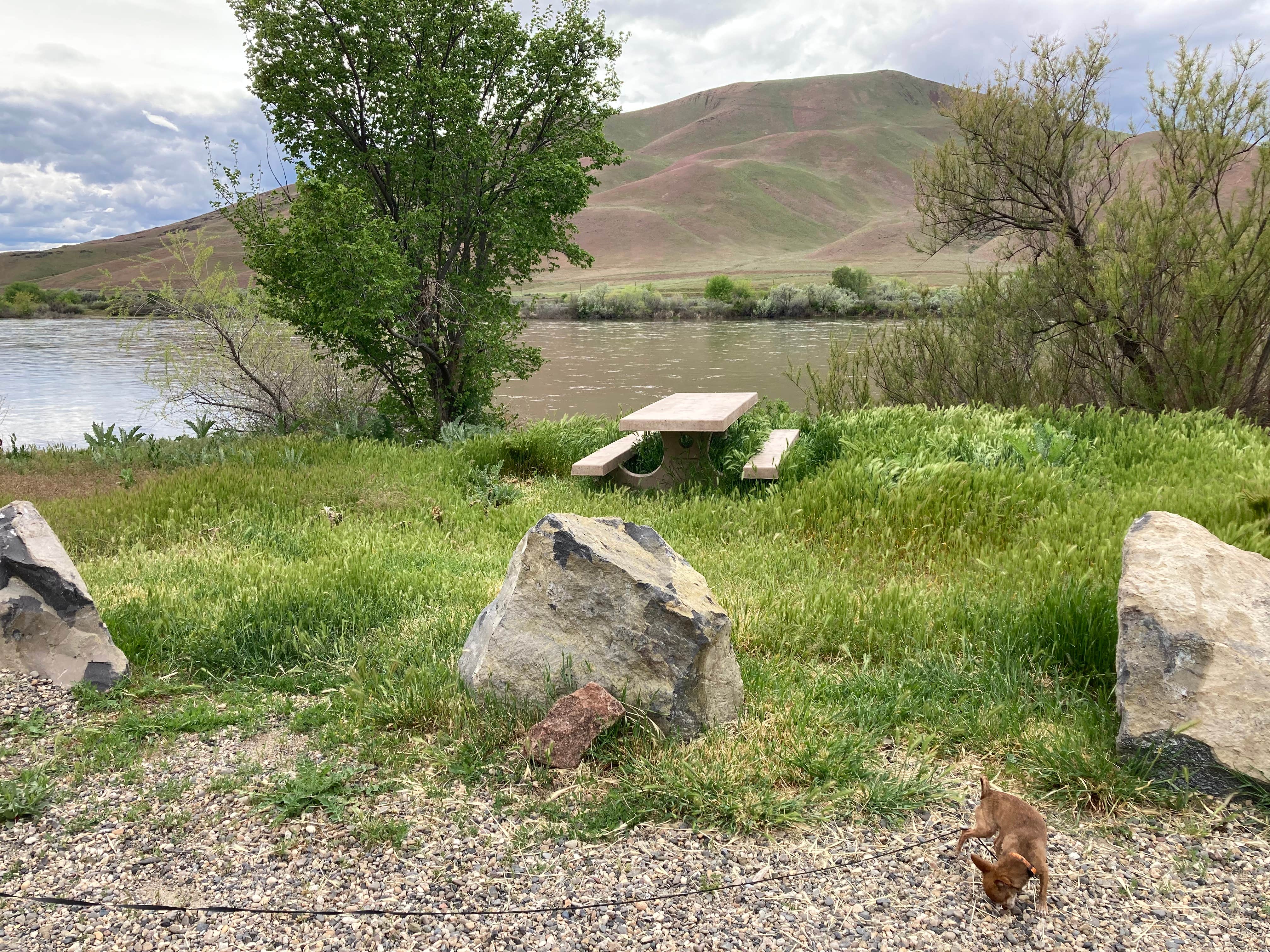 Julianne N.'s photo of a dispersed camping area at Oasis Recreation Site near Star, ID