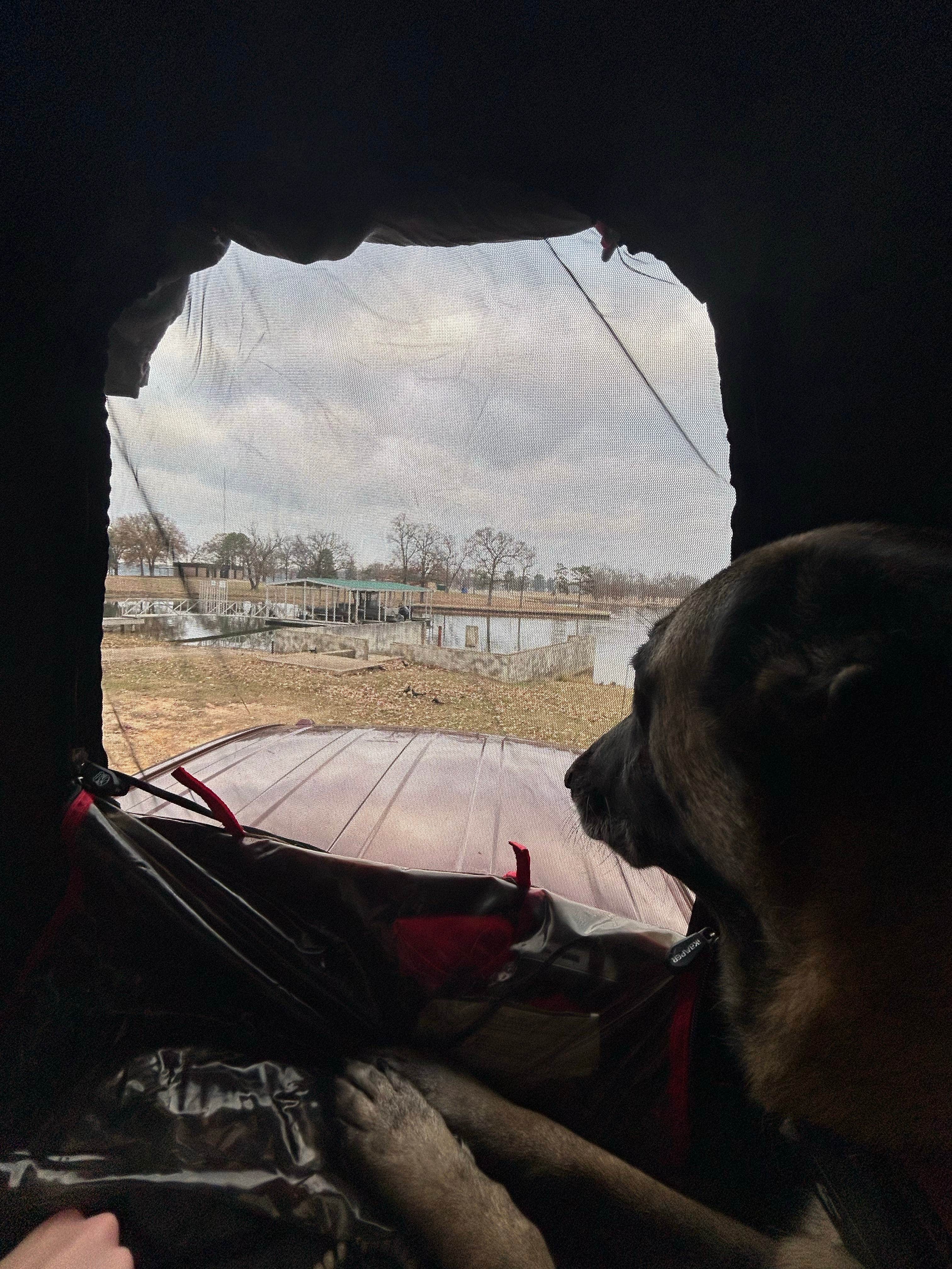 Trey I.'s photo of camping with pets at Public Ramp 1 Titus County Freshwater Supply District near New Boston, TX