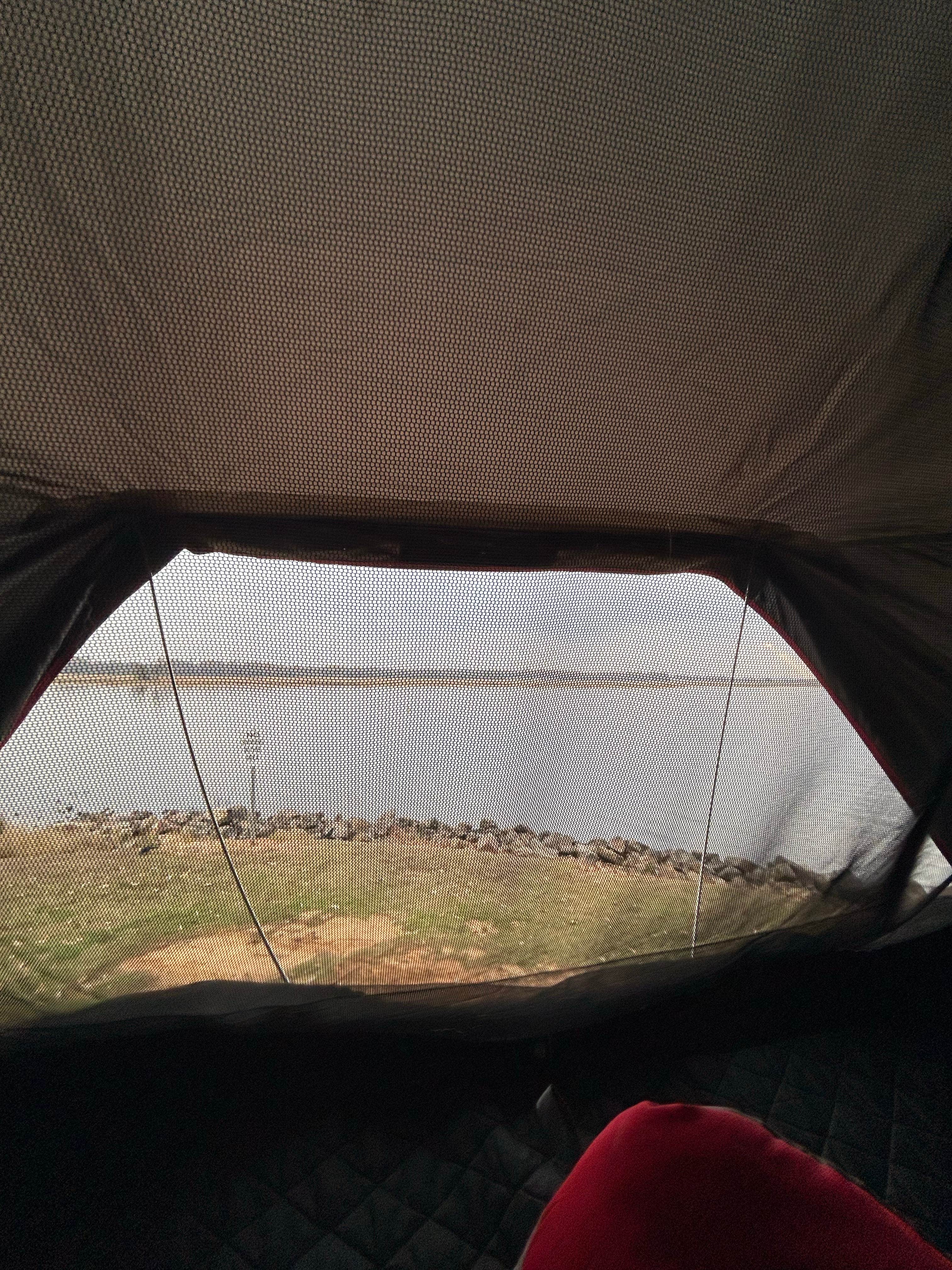 Camper-submitted photo at Public Ramp 1 Titus County Freshwater Supply District near Daingerfield, TX
