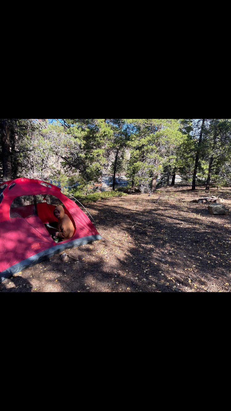 Camper-submitted photo at Pull off with fire ring - Dispersed Site near Silver Plume, CO