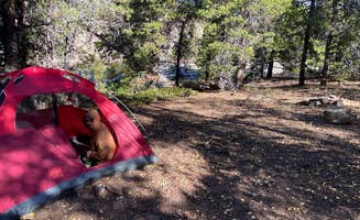clinton H.'s photo at Pull off with fire ring - Dispersed Site near Idaho Springs, CO