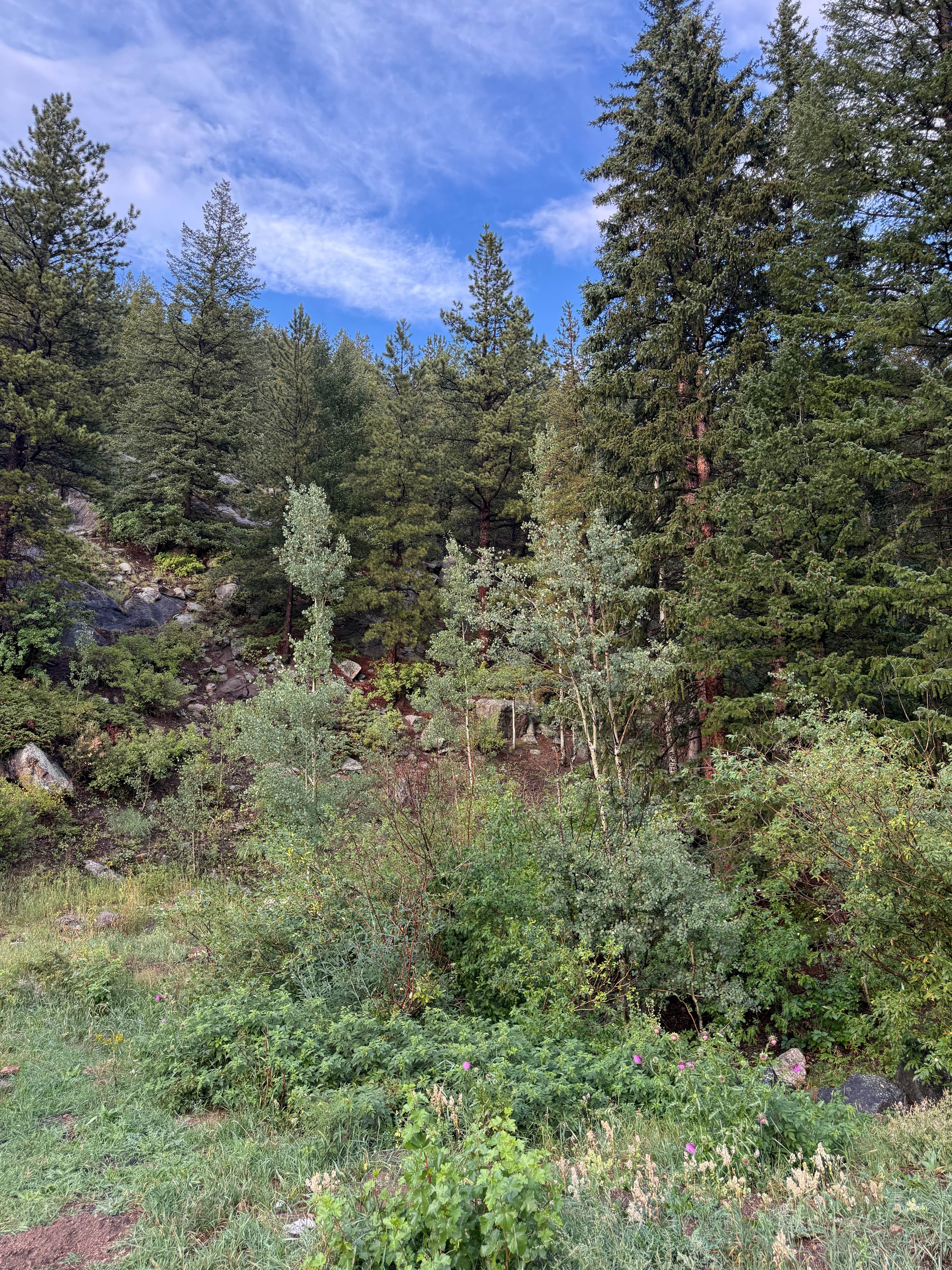 Camper-submitted photo at Pull off with fire ring - Dispersed Site near Silver Plume, CO