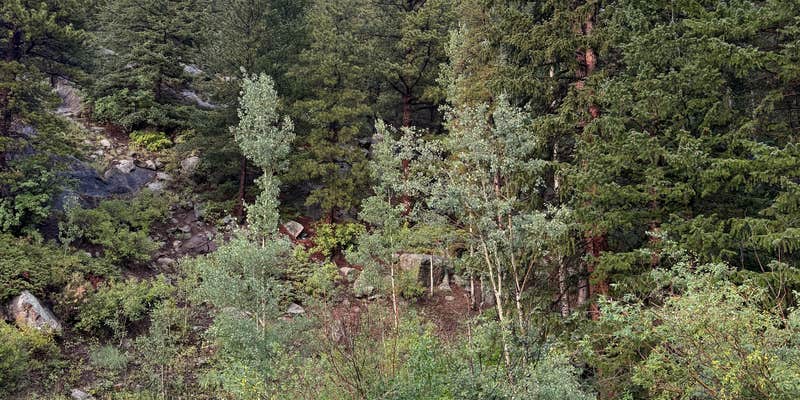 Camper submitted image from Pull off with fire ring - Dispersed Site