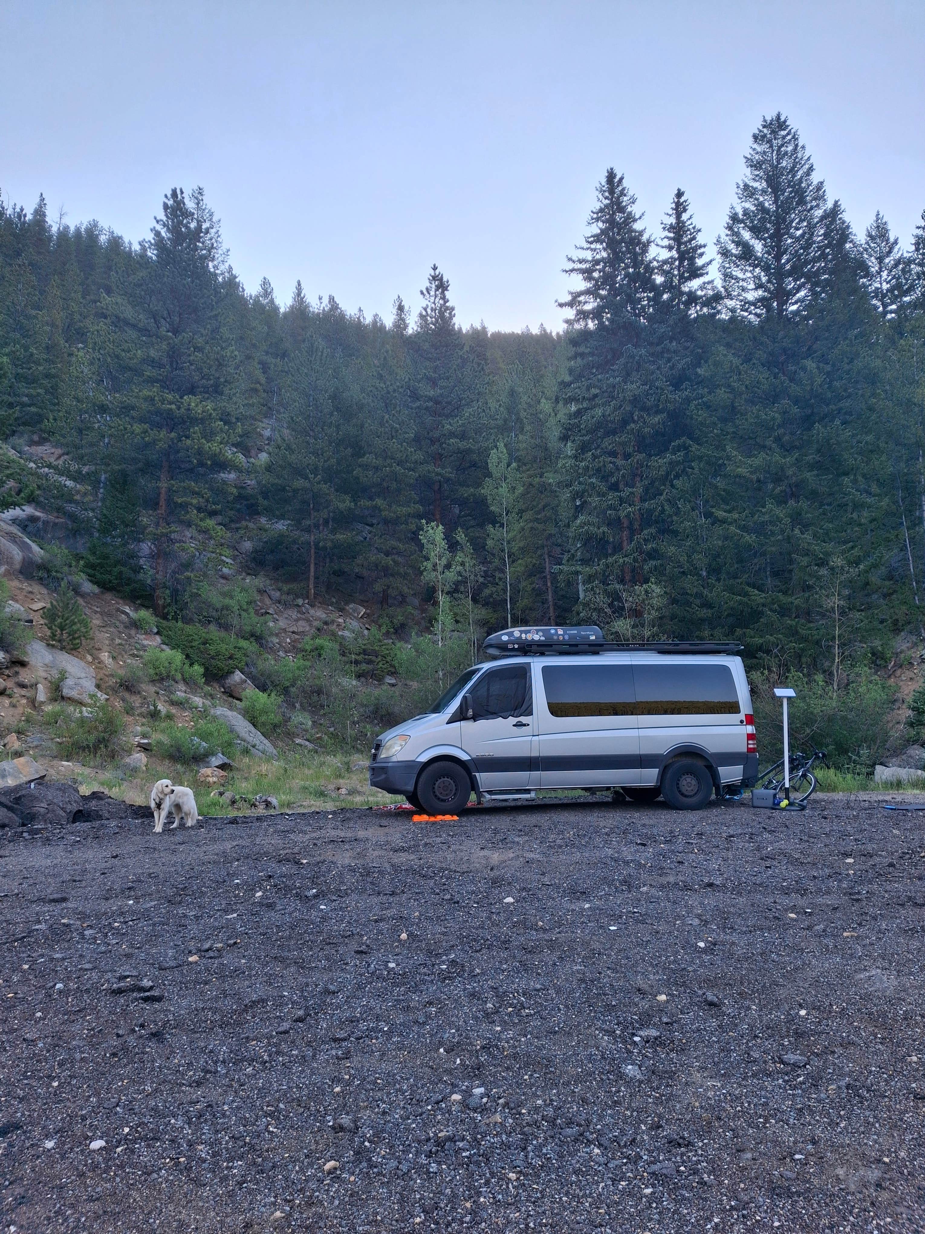 Scott S.'s photo of camping with pets at Pull off with fire ring - Dispersed Site near Silver Plume, CO