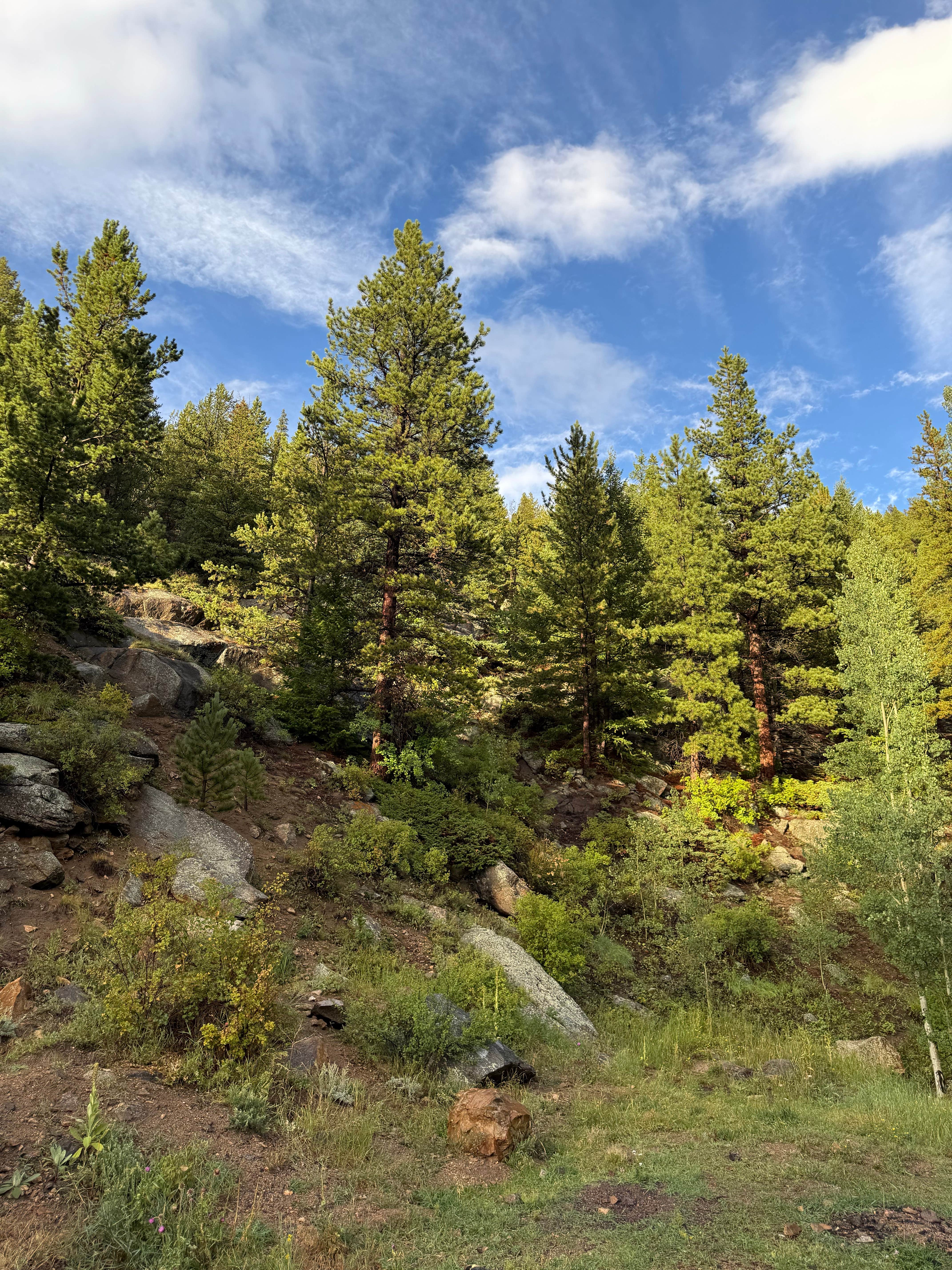 Camper-submitted photo at Pull off with fire ring - Dispersed Site near Silver Plume, CO
