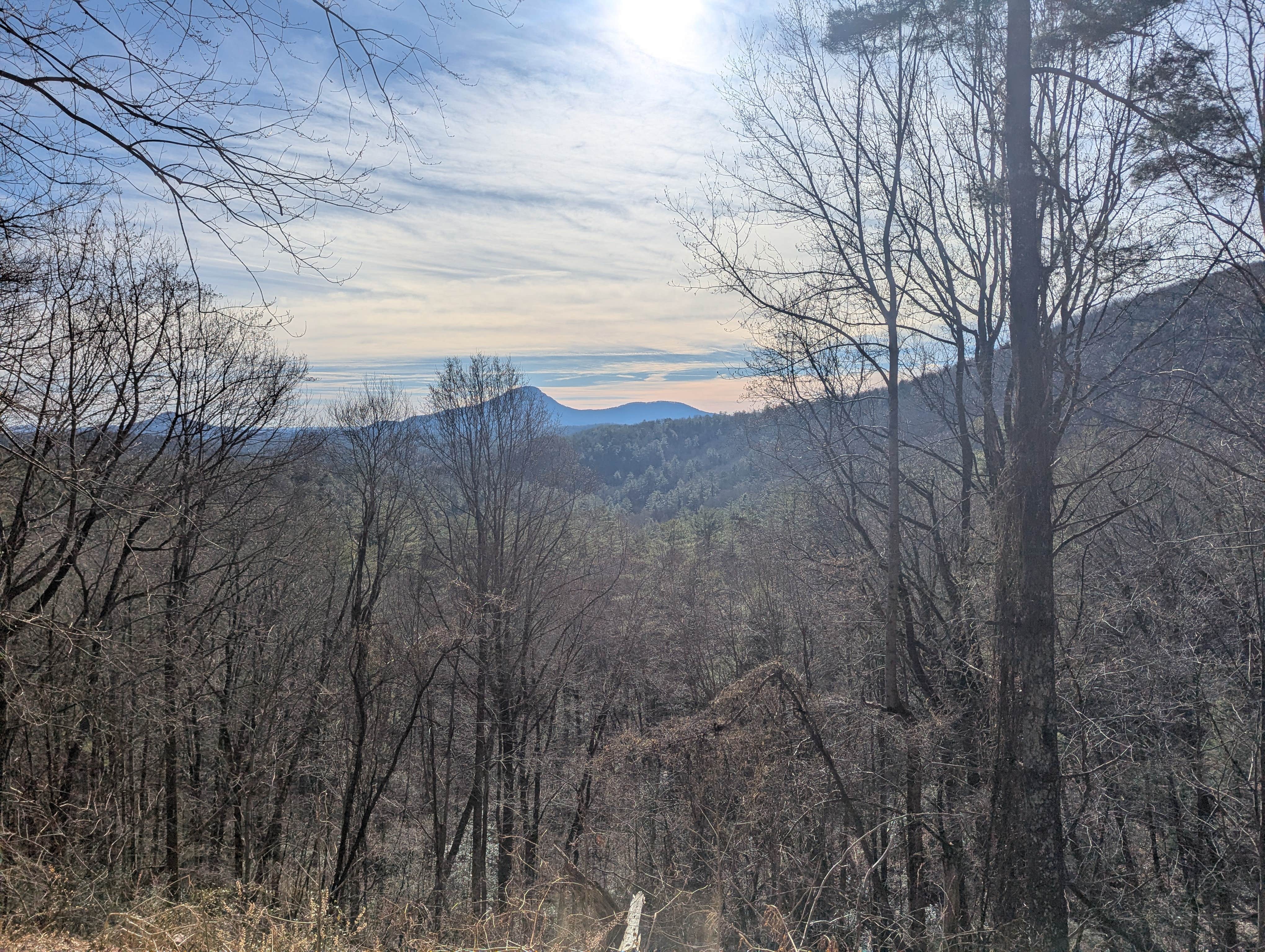 Camper submitted image from Pullout Chattahoochee NF - 1