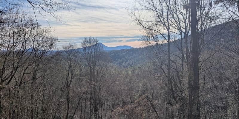 Camper submitted image from Pullout Chattahoochee NF