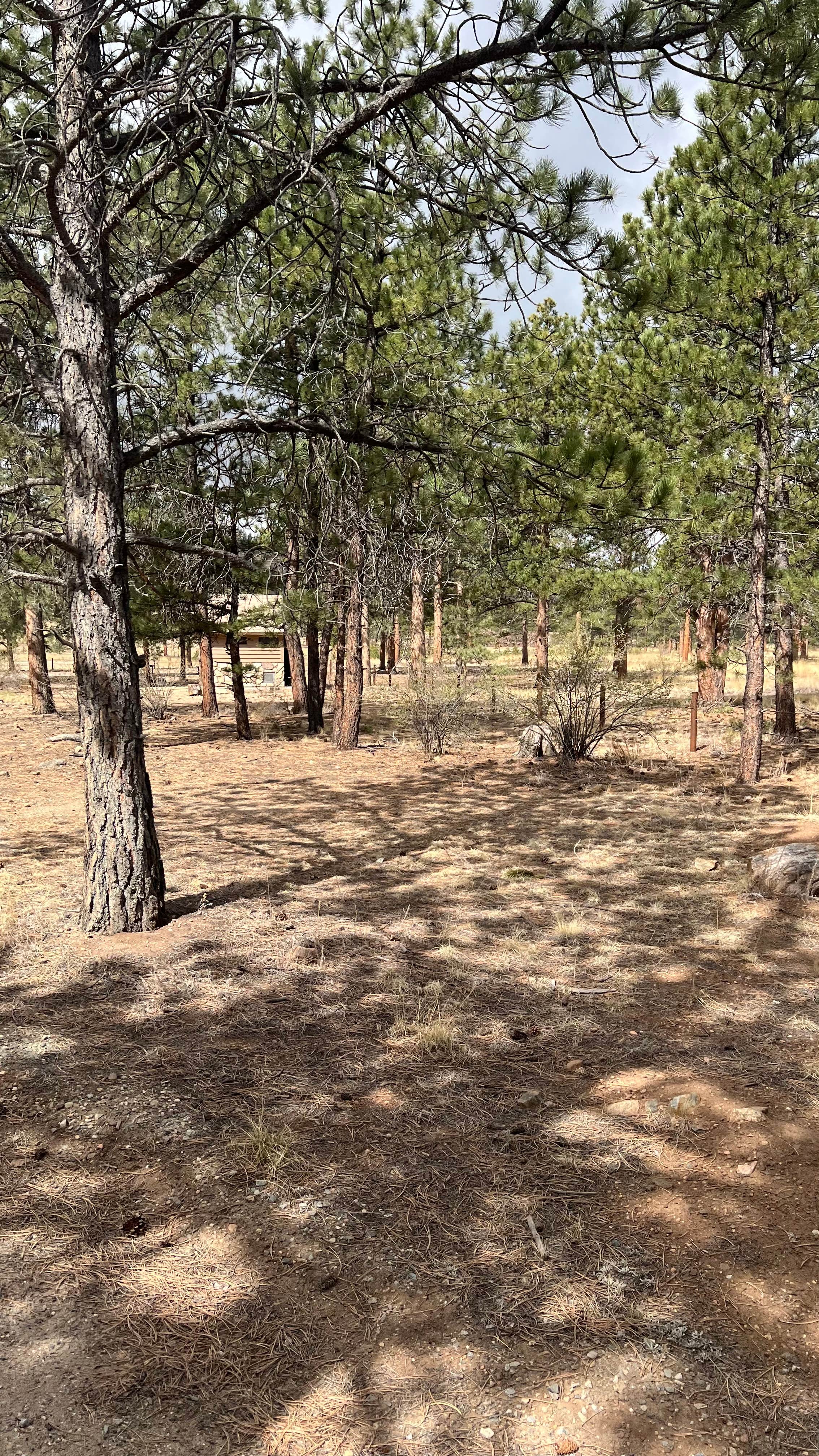 Camping near Sakach Smith campground: Pulver Mountain Group Site — Psicc, Lake George, Colorado