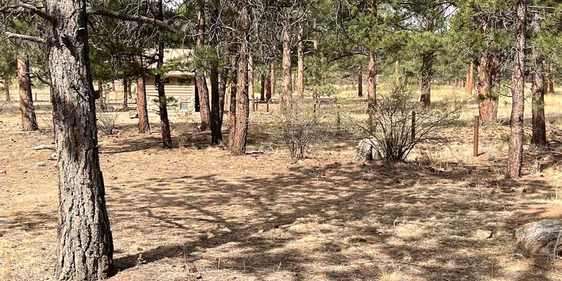Camper submitted image from Pulver Mountain Group Site — Psicc