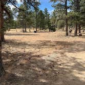 Review photo of Pulver Mountain Group Site — Psicc by johny R., April 28, 2026