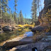 Review photo of Pumphouse Wash (FR 237) Dispersed Camping Area by Cindy S., November 9, 2025
