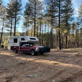 Review photo of Pumphouse Wash (FR 237) Dispersed Camping Area by Curious Compass B., December 8, 2025